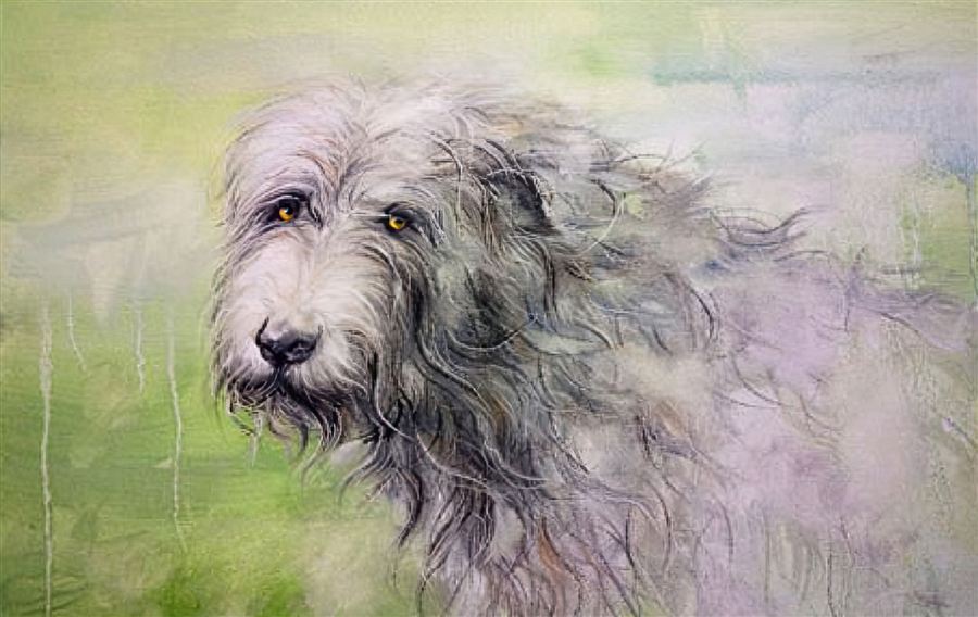Hand-painted portrait of a dog