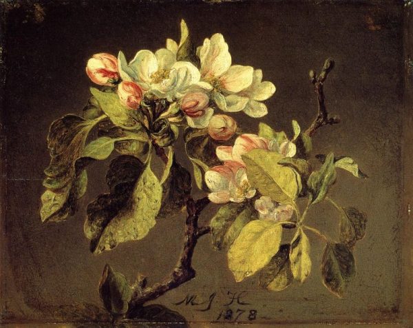 A Branch of Apple Blossoms and Buds by Martin Johnson Heade