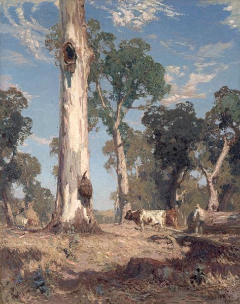 A Lord of the Bush by Hans Heysen