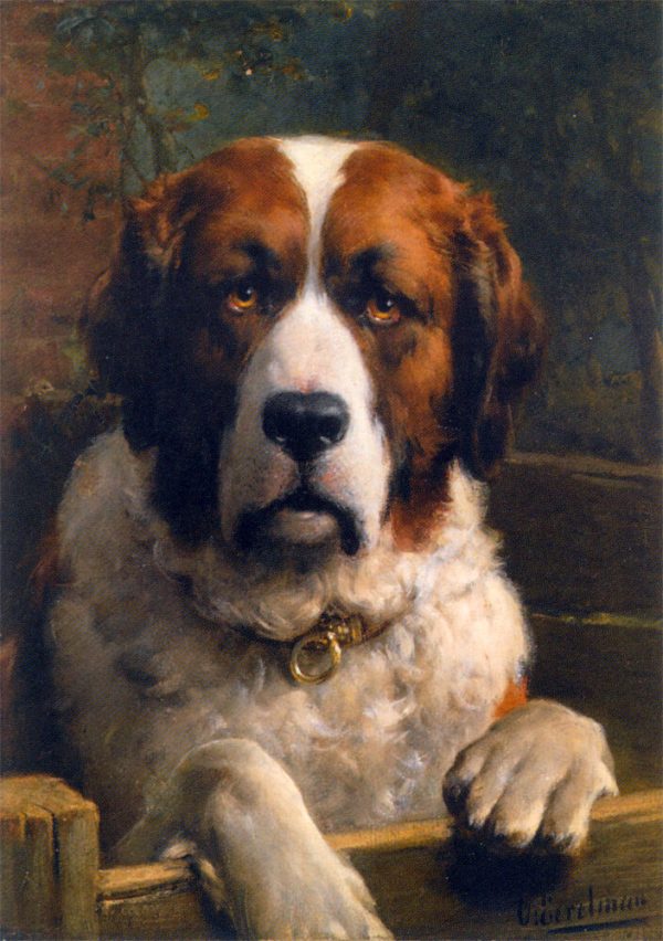 A Saint Bernard Dog by Otto Eerelman