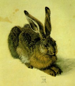 A Young Hare by Albrecht Durer - hand-painted oil reproduction