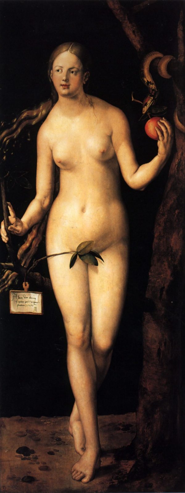 Eve by Albrecht Durer