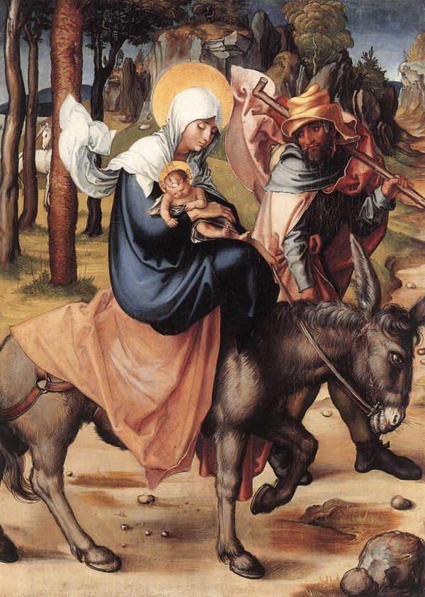 The Seven Sorrows of the Virgin The Flight into Egypt by Albrecht Durer