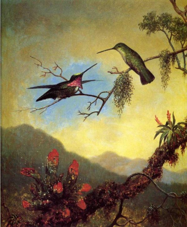 Amethyst Hummingbirds and Red Flowers by Martin Johnson Heade