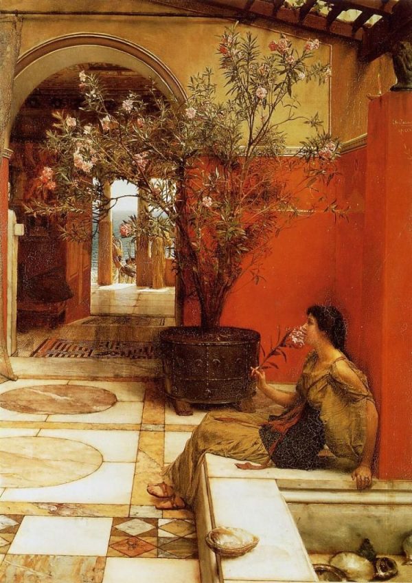 An Oleander by Lawrence Alma-Tadema