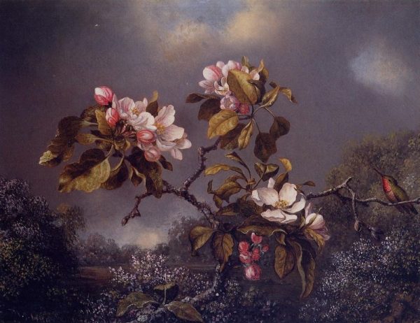 Apple Blossoms and Hummingbird by Martin Johnson Heade