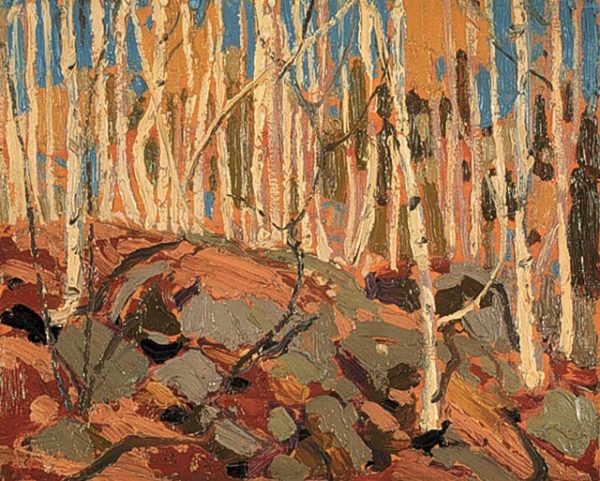 Birches by Tom Thomson