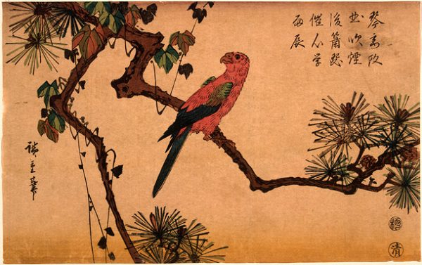 Bird on a Tree by Ando Hiroshige