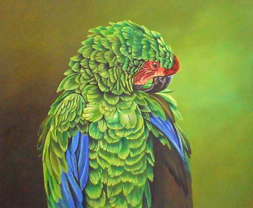 Birds Paintings N026