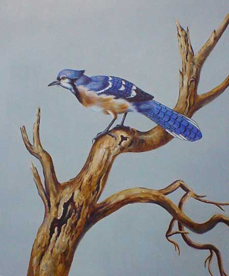 Birds Paintings N027