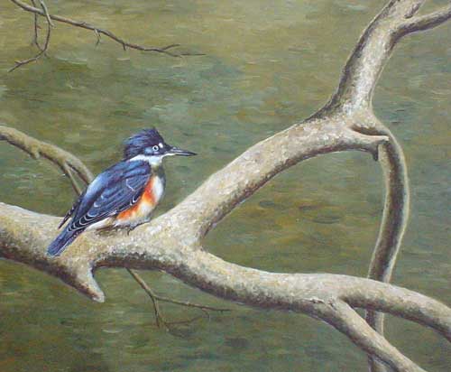 Birds Paintings N031