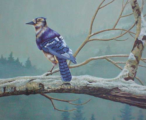 Birds Paintings N033
