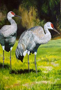 Birds Paintings N041