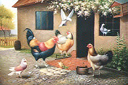 Birds Paintings N044