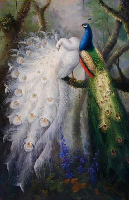 Birds Paintings N049