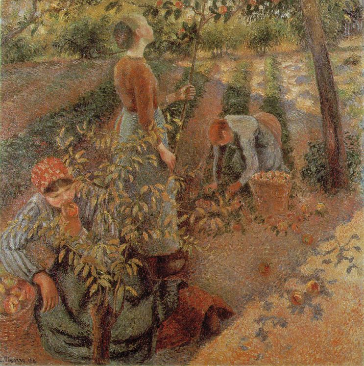 Apple Picking by Camille Pissarro