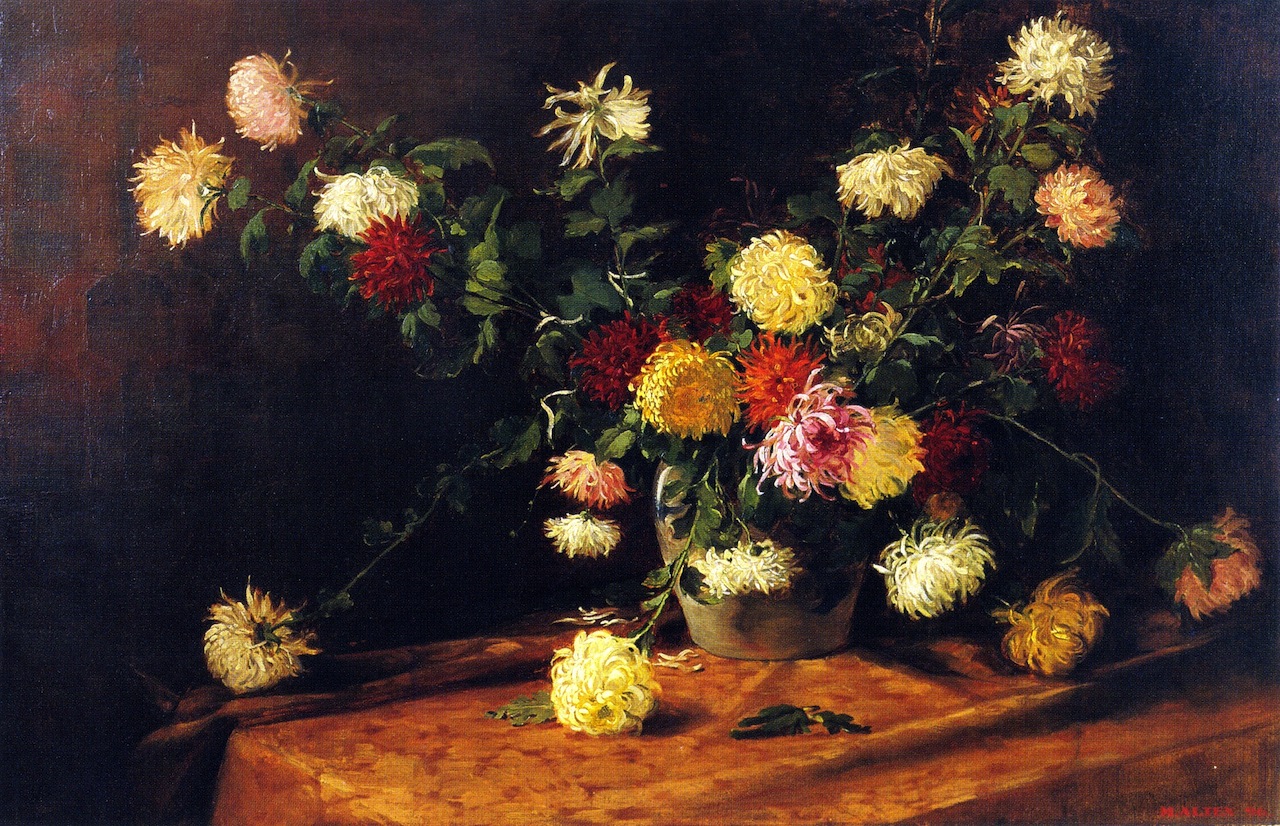 Chrysanthemums