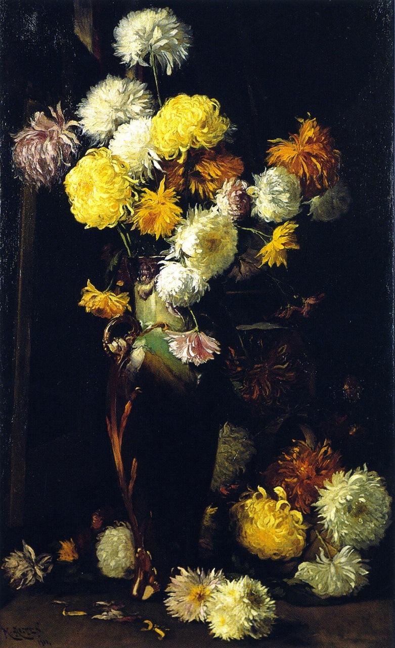 Chrysanthemums b