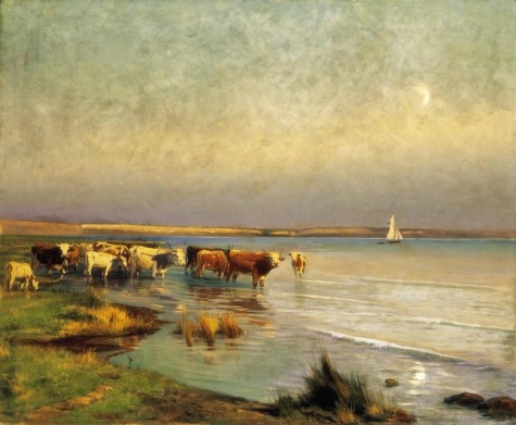 Cows by the Lake Balaton