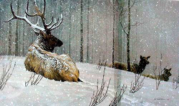 Deer Paintings N004