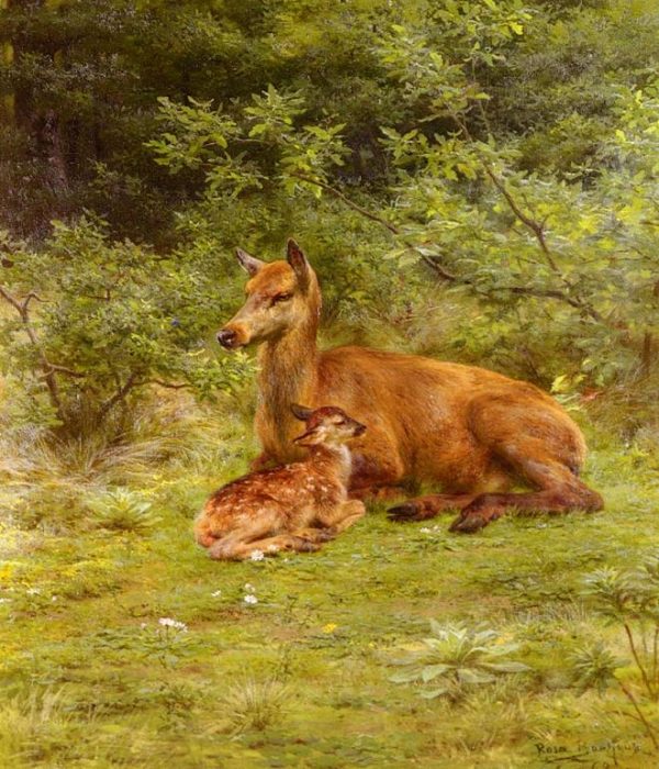 Doe and Fawn in a Thicket by Rosa Maria Bonheur