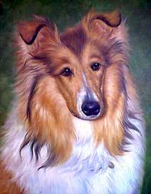 Dogs Paintings N041