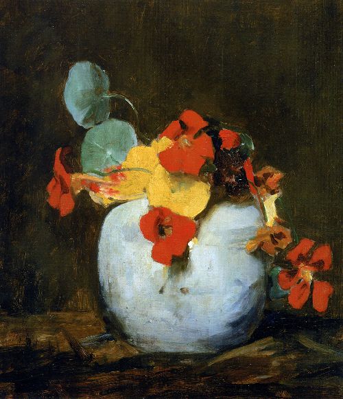 East indian cherry in pot by Floris Arntzenius