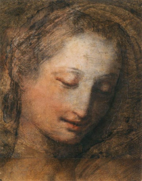 Face of a Woman with Downcast Eyes by Federico Fiori Barocci