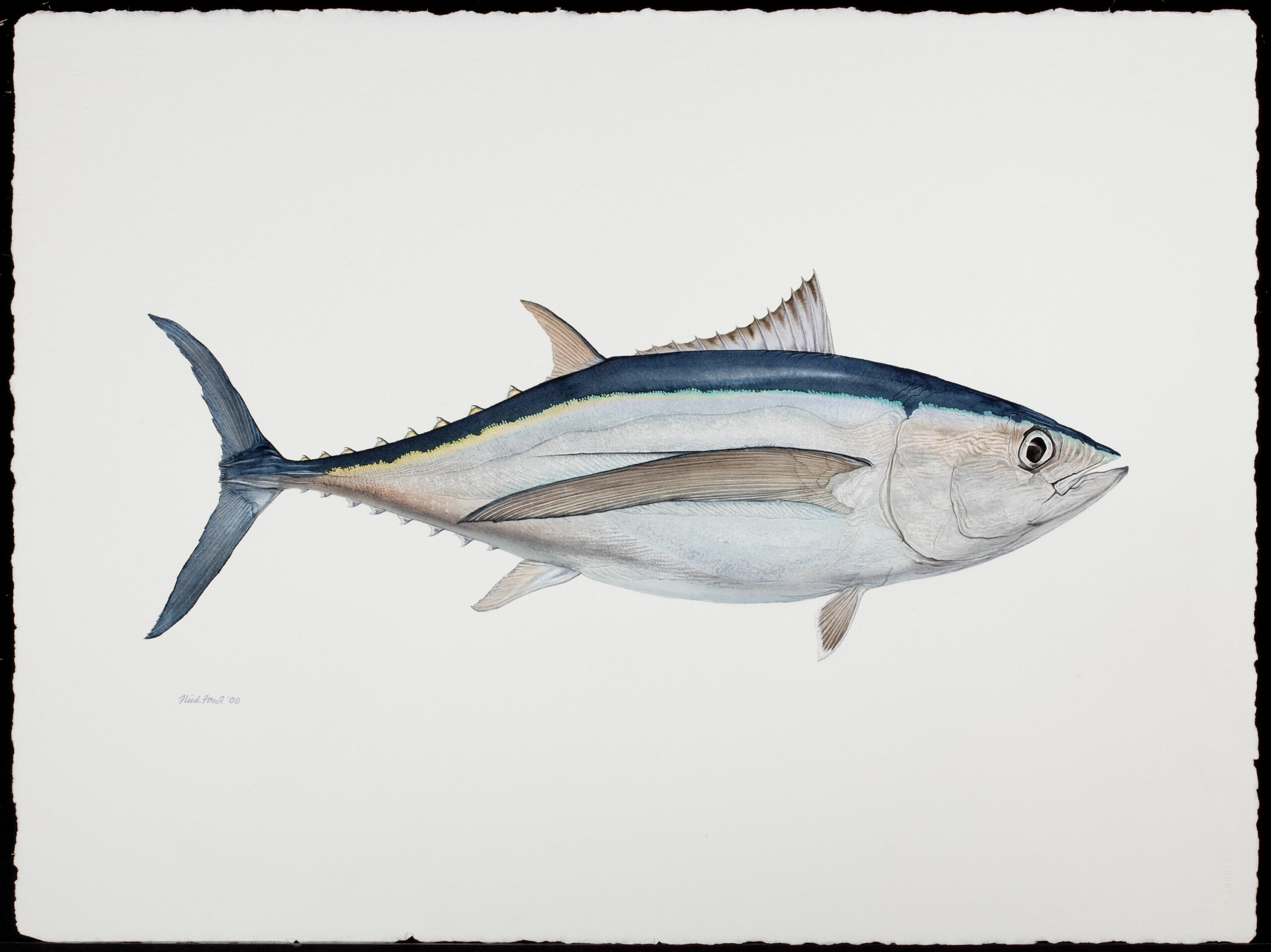 Fish Painting N017