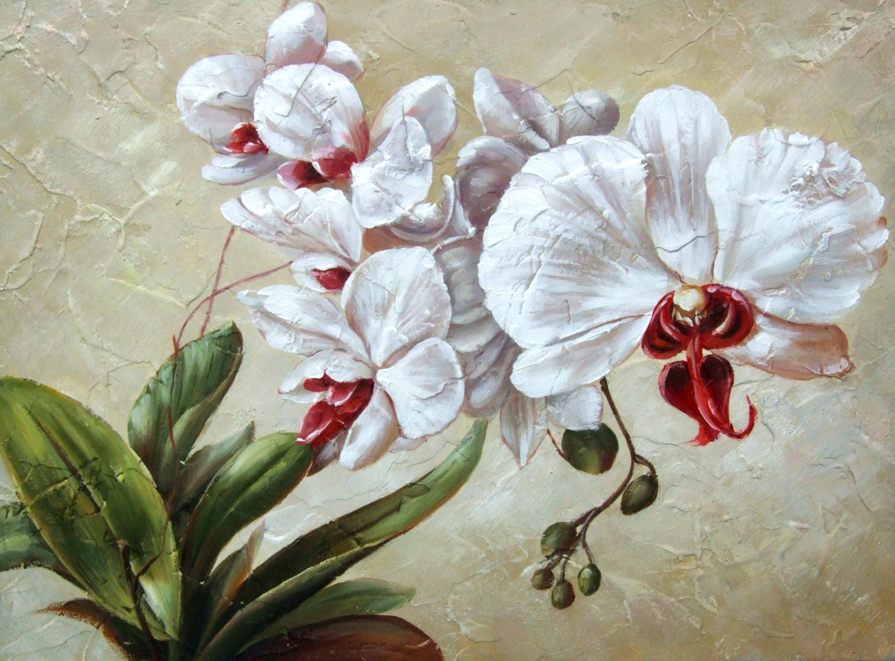 Flower Decor Art N098