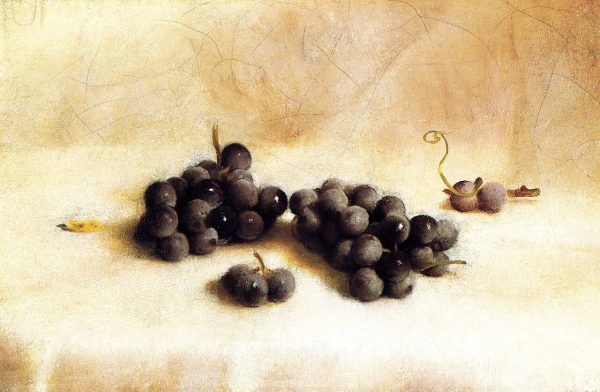 Grapes by Joseph Decker