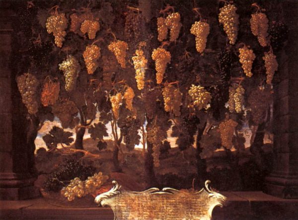 Grapes by Bartilomo Bimbi