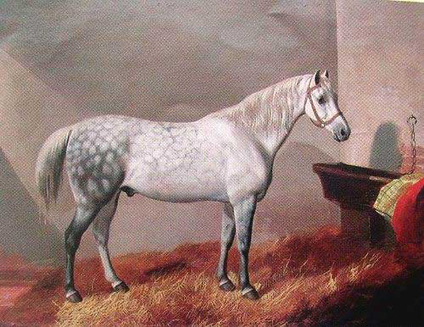 Horse Paintings N003