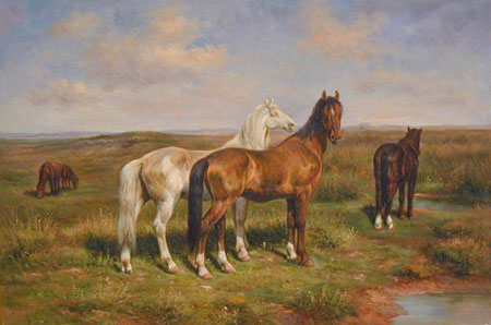 Horse Paintings N009