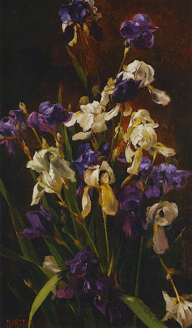 Irises