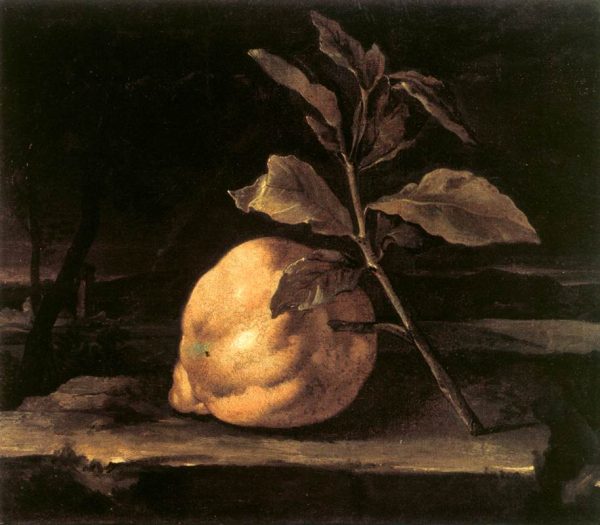 Large Citron in a Landscape by Bartilomo Bimbi