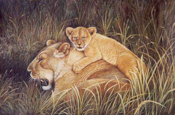 Lion Paintings N022