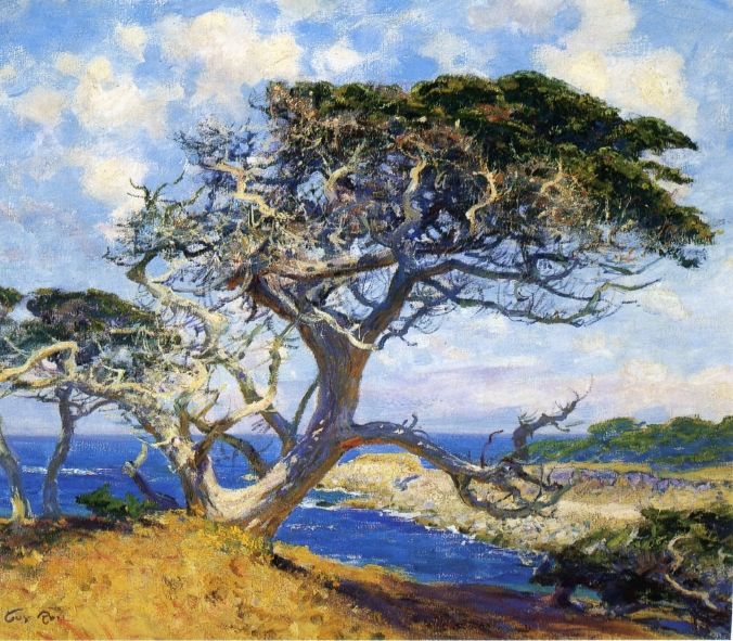 Monterey Cypress by Guy Rose