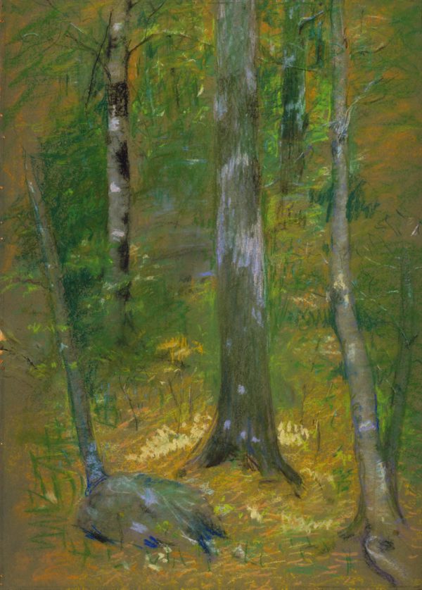 Onteora by Alice Pike Barney