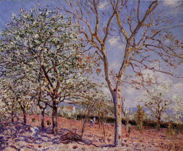 Plum and Walnut Trees in Spring by Alfred Sisley