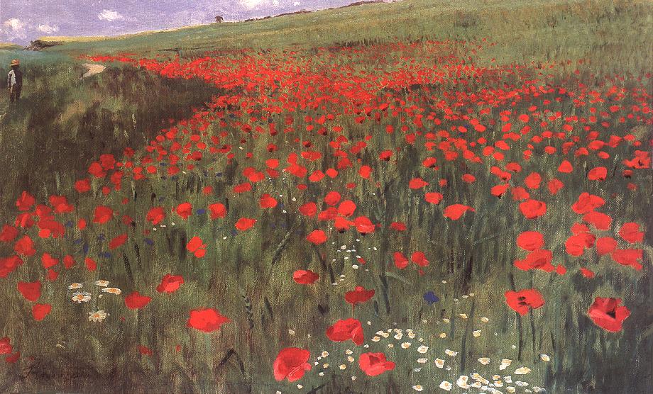 Poppies in the Field