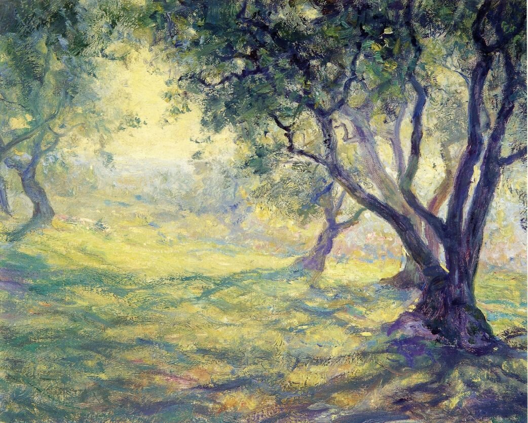 Provincial Olive Grove by Guy Rose