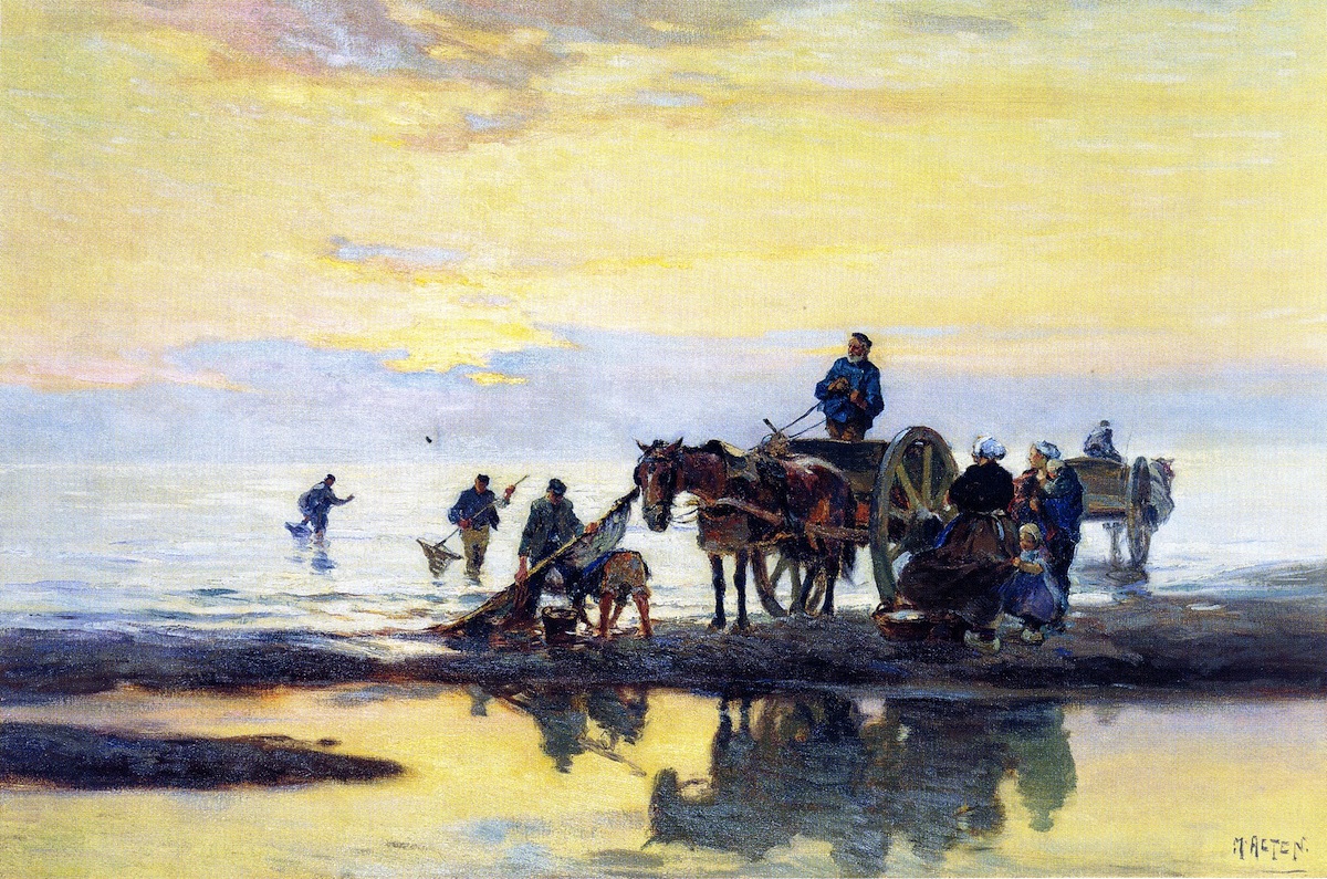 Shell Fishers