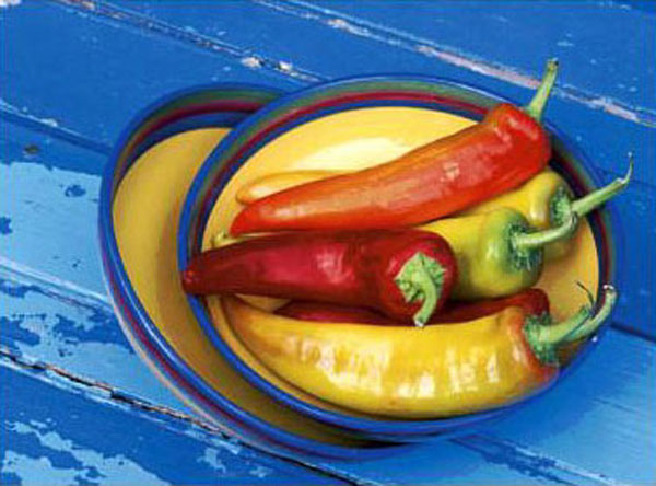 Still Life Paintings N421