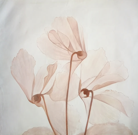 Stock Paintings N202