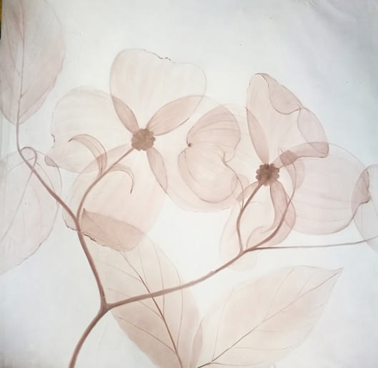 Stock Paintings N236