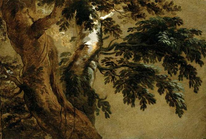 Study of Two Trees by Alexandre Francois Desportes - hand-painted oil reproduction