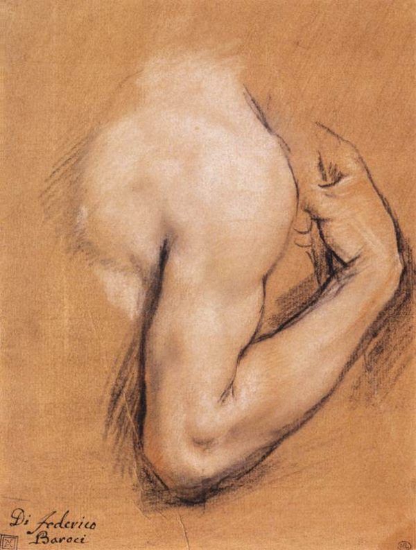 Study of a Bent Right Arm by Federico Fiori Barocci