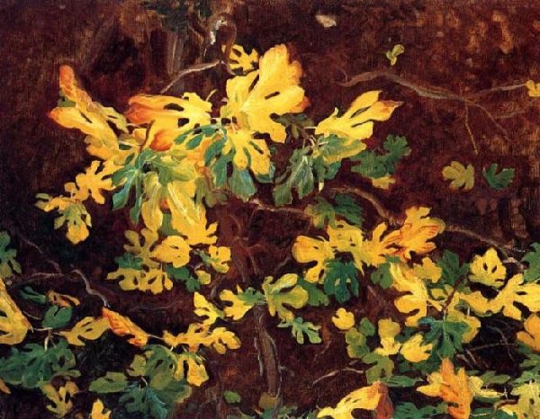 Study of a Fig Tree by John Singer Sargent