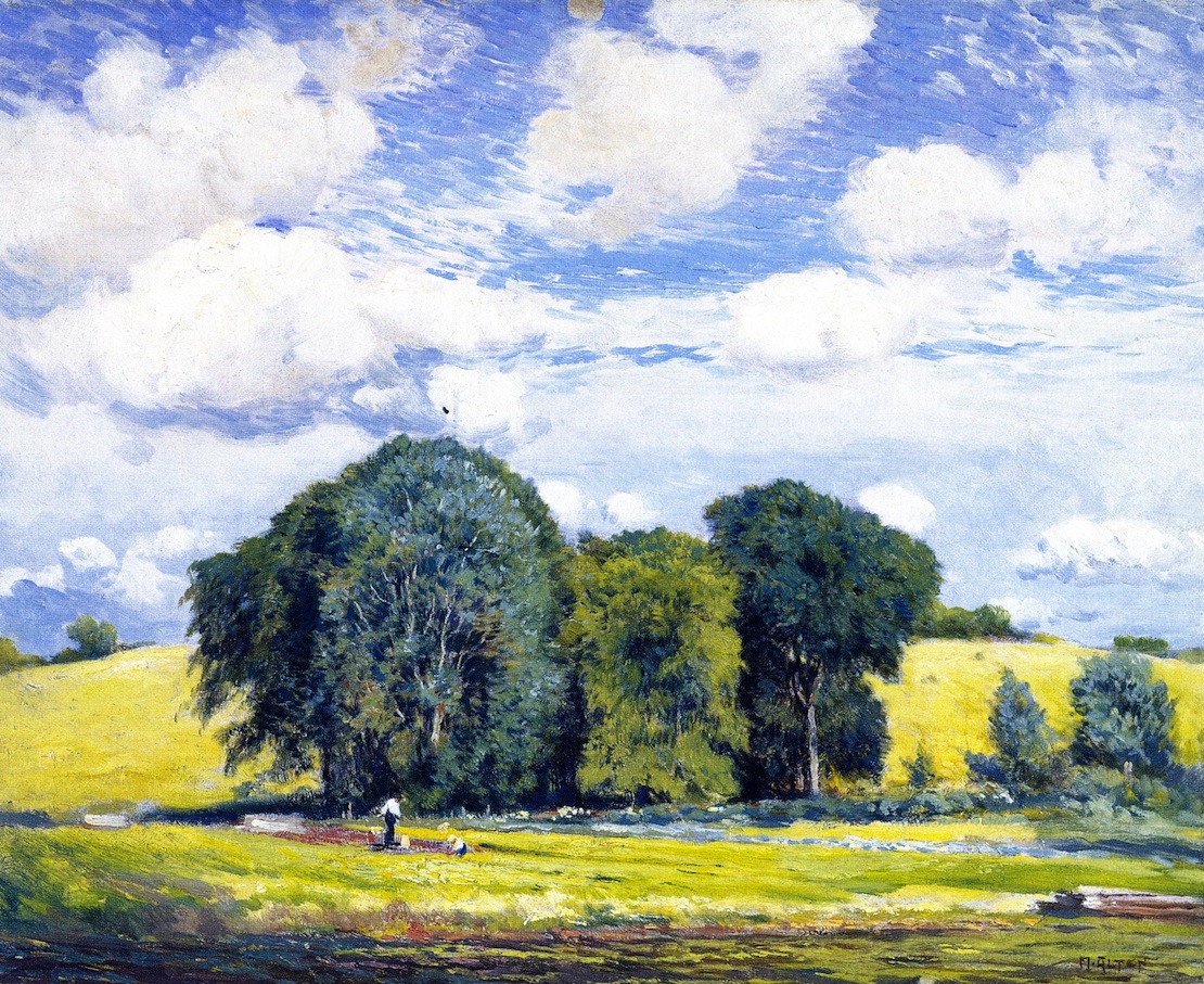 Summer Landscape